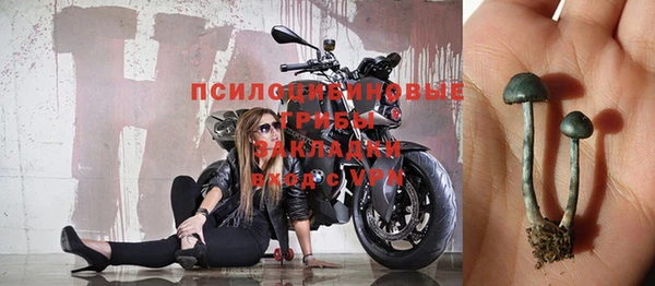 дмт Армянск