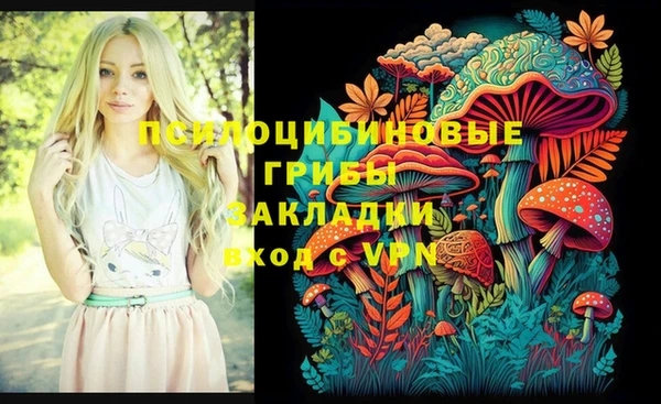 PSILOCYBIN Аркадак