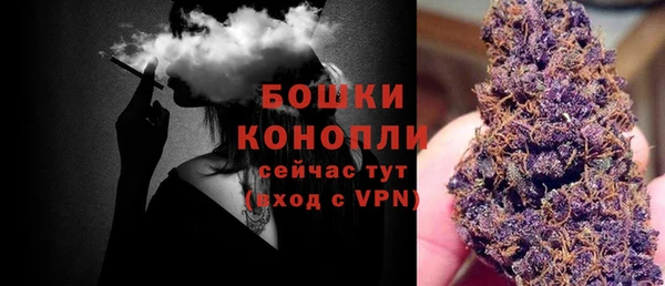 винт Арсеньев