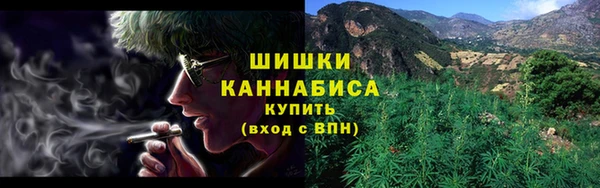 PSILOCYBIN Аркадак