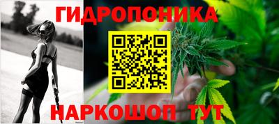 прущие грибы Пушкино