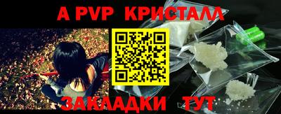прущие грибы Пушкино