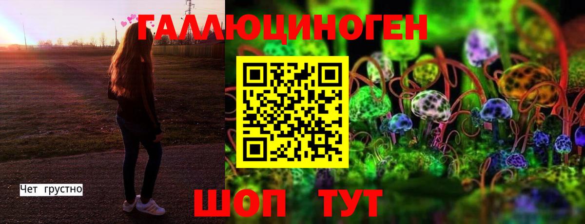 купить наркотики цена  Галлюциногенные грибы ЛСД  Чебоксары  Вход с VPN  Галлюциногенные грибы Cubensis 