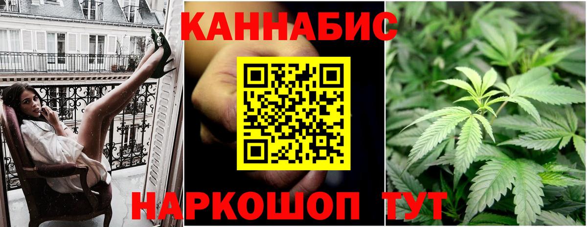 Бошки Шишки планчик Чебоксары